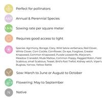 native pollinator wildflower mix